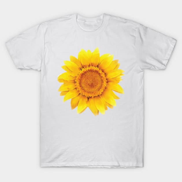 Sunflower T-Shirt by snowshade